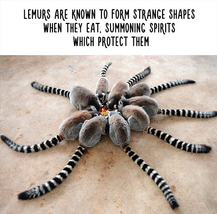 54 Amazing Animal Facts You Didn't Know