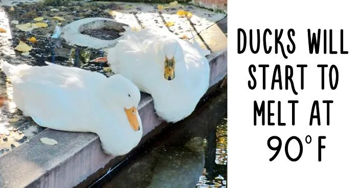 54 Amazing Animal Facts You Didn't Know