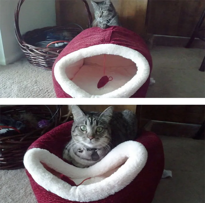 Sleep Inside? No