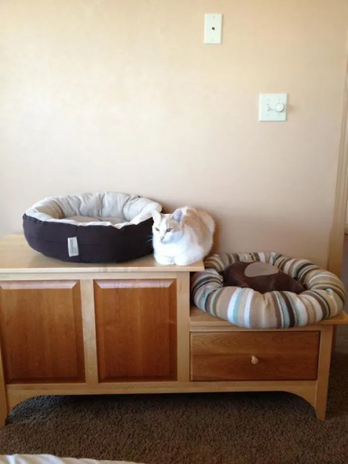 Finally Found A Comfy Spotound A Comfy Spot
