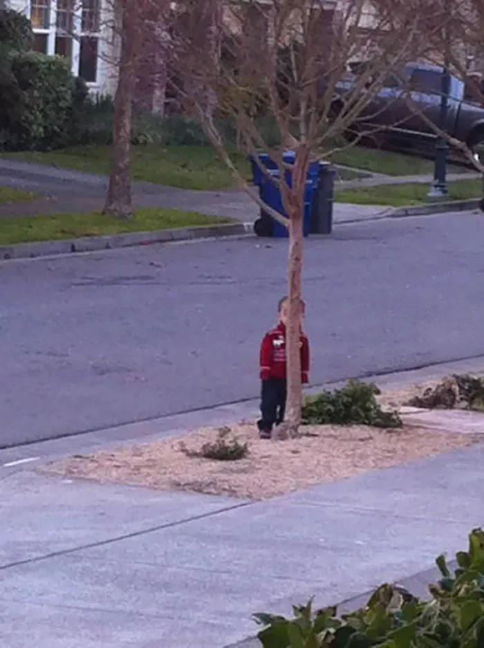 Hide And Seek