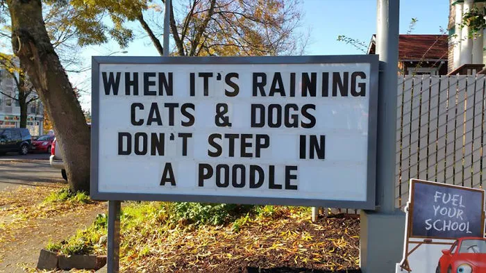 This Seattle Gas Station Has The Funniest Signs Ever (22 Pics)
