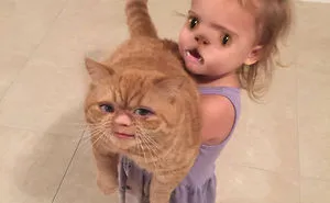 69 Funniest Face Swaps From The Most Terrifying Snapchat Update Ever