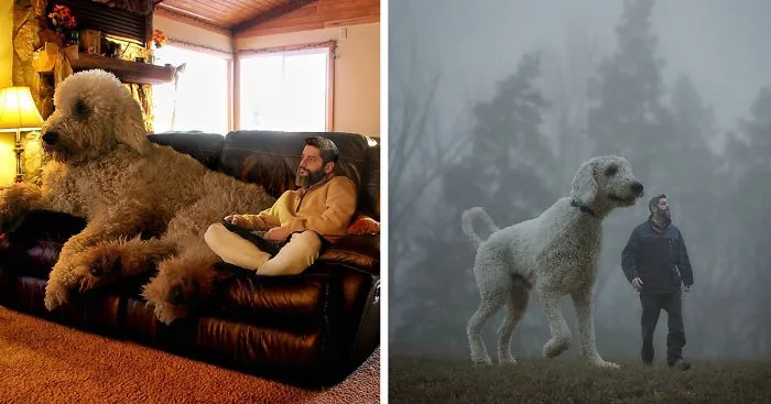 Photographer Photoshops His Dog Into A Giant