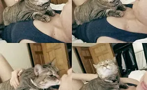 How To Get Your Cat To Like You More