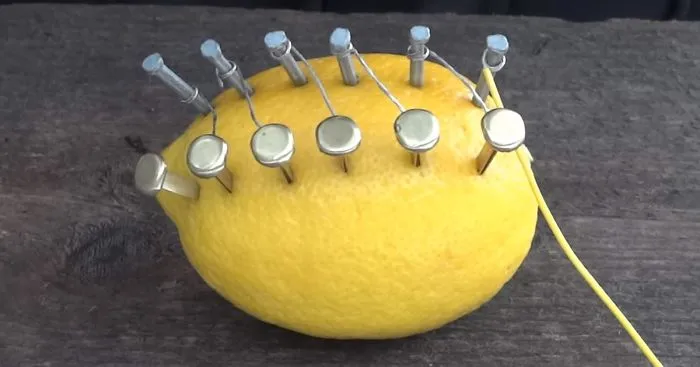 How To Start A Fire With A Lemon