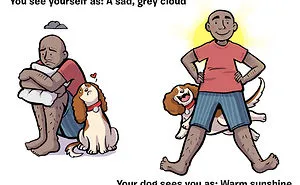 How You See Yourself vs How Your Dog Sees You