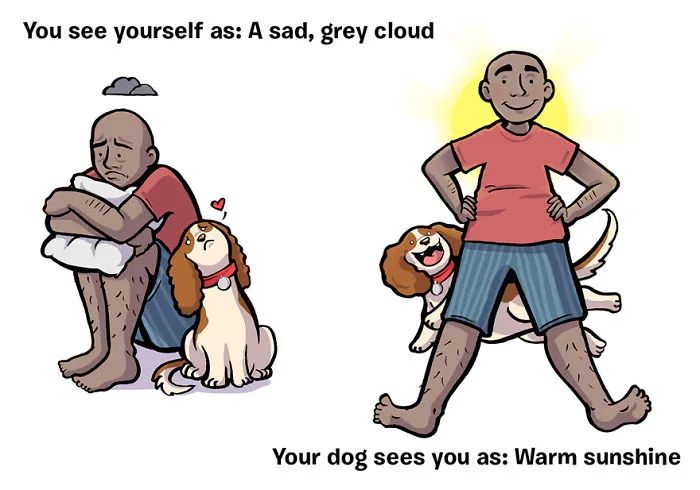 How You See Yourself vs How Your Dog Sees You