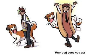 How You See Yourself vs How Your Dog Sees You