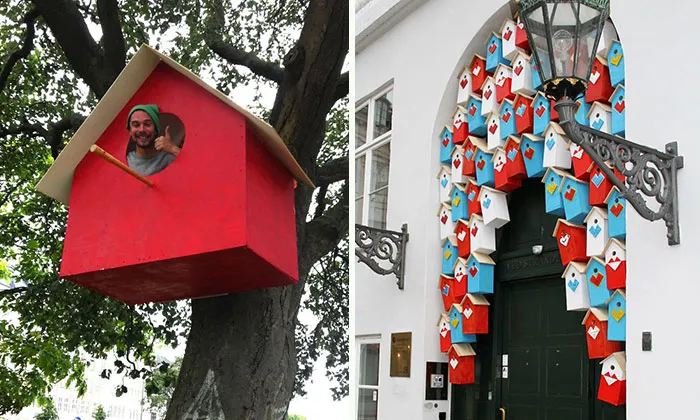 I Made 3500 Birdhouses From Scrapwood To Keep Birds In Cities