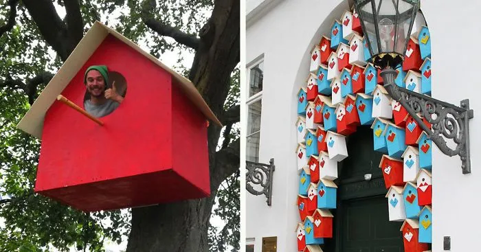 I Made 3500 Birdhouses From Scrapwood To Keep Birds In Cities