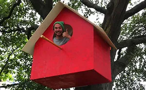 I Made 3500 Birdhouses From Scrapwood To Keep Birds In Cities