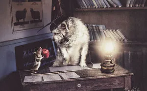 I Create Surreal Photos Of My Pets Using Photoshop