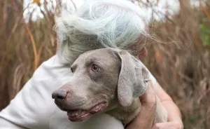 I Photograph The Special Bond Between Old Dogs And The People Who Love Them