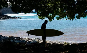 I Spent Two Weeks In Maui, A True Paradise On Earth