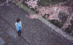 I Traveled To Japan And Photographed The Cherry Blossoms
