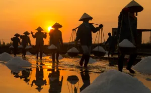 I Visited The Hard Working People Of Hon Khoi Salt Fields In Vietnam