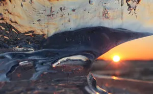Ice At Sunset: The Warm Colors Of Winter