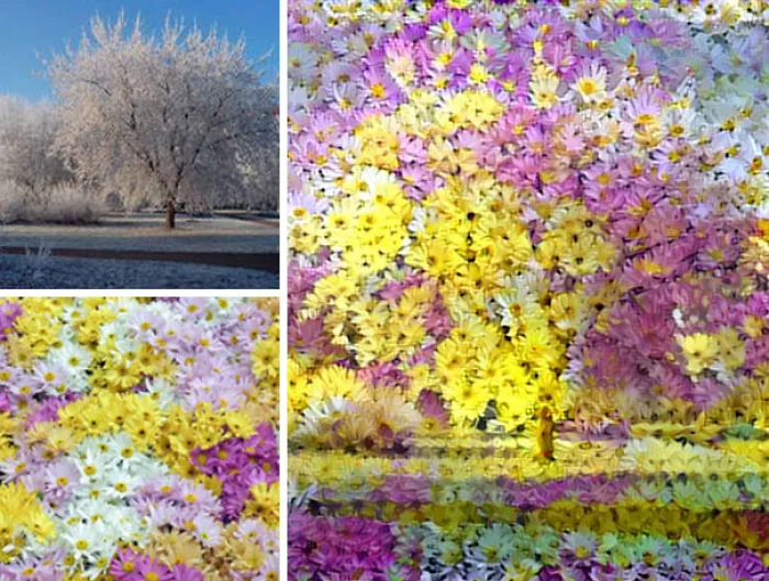 Man Combines Random People's Photos Using Neural Networks And The Results Are Amazing