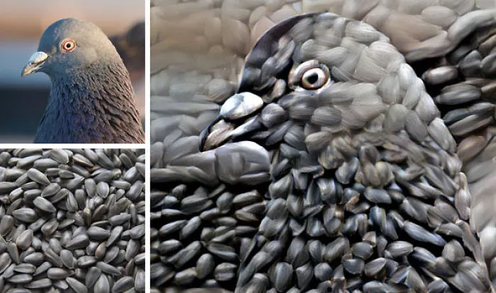 Man Combines Random People's Photos Using Neural Networks And The Results Are Amazing