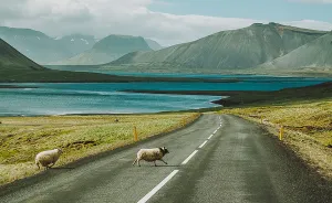 I’ve Been Capturing Icelandic Roads For 16 Months