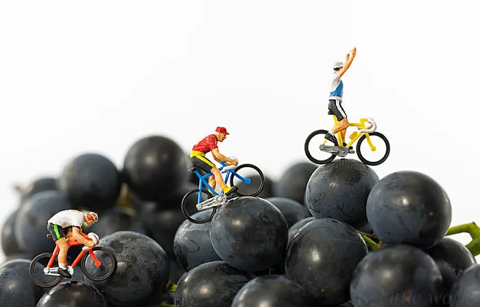 Fruit Cycling