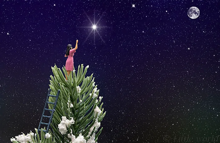 Reaching The Stars
