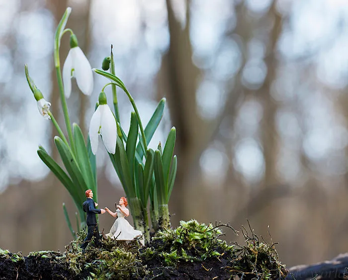 Dancing In The Forest
