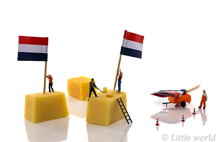 Dutch Cheese