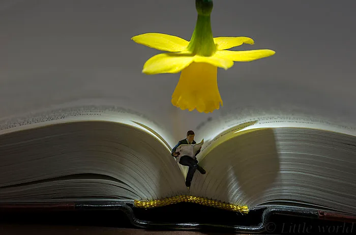 Book Reading