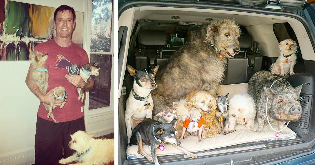 Man Devotes His Life To Adopting Old Dogs Who Can't Find Forever Homes