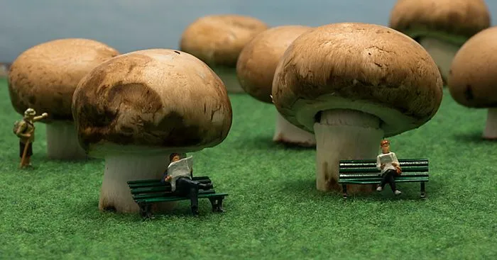I Capture Everyday Lives Of Miniature People