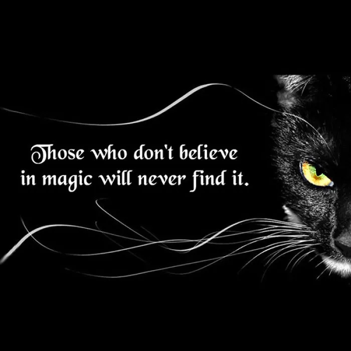 Magic