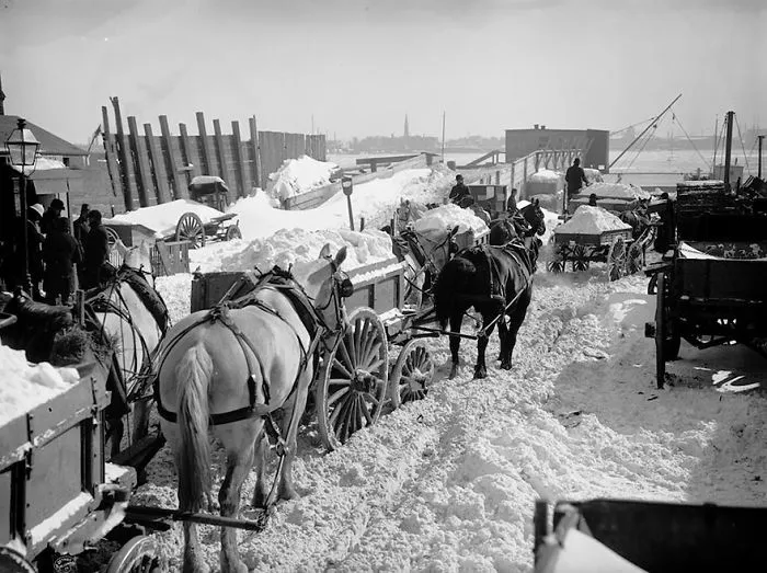 Carts Take The Snow From The City And Dump Them In The East River, New York