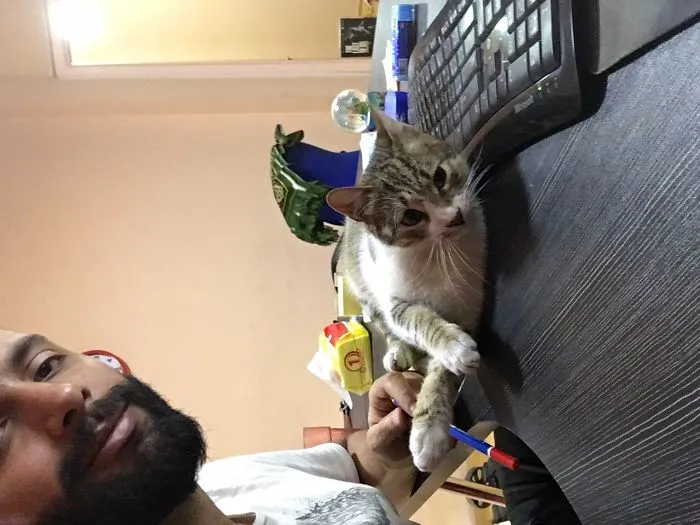 My Cat