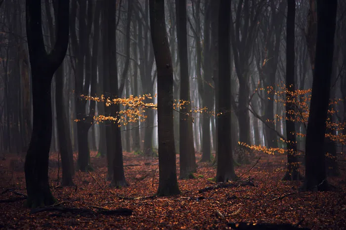 67 Reasons Why You Should Visit The Netherlands, My Homeland