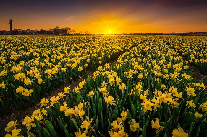 67 Reasons Why You Should Visit The Netherlands, My Homeland