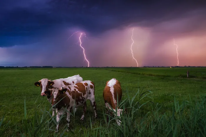 67 Reasons Why You Should Visit The Netherlands, My Homeland