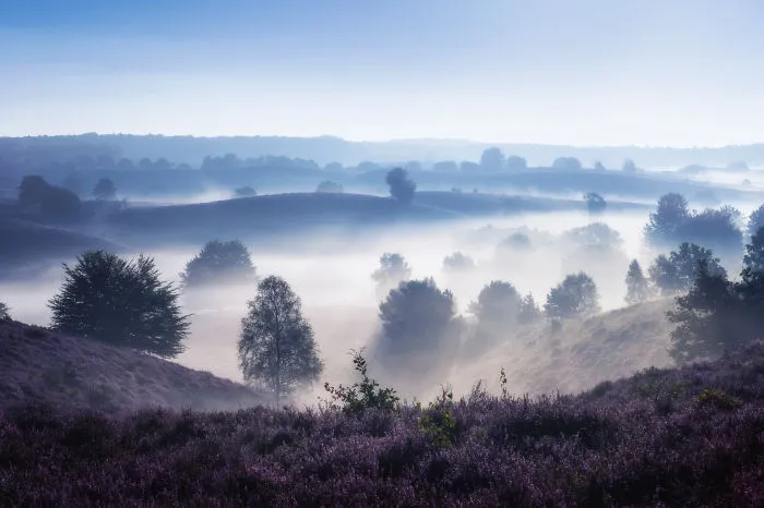 67 Reasons Why You Should Visit The Netherlands, My Homeland