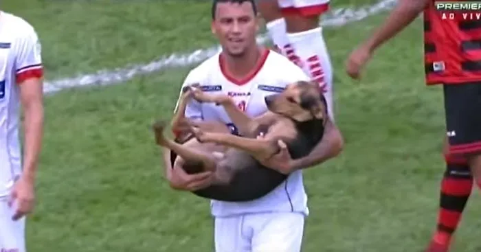 Dog Interrupts Brazilian Soccer Match, Announcer Has The Best Reaction