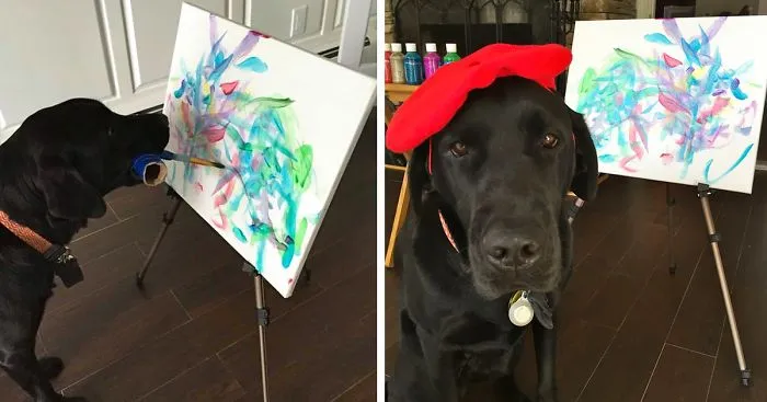 Meet Dogvinci, The Painting Dog That Sells His Art For Good Money