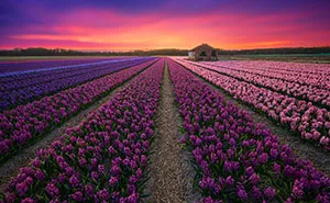 67 Reasons Why You Should Visit The Netherlands, My Homeland