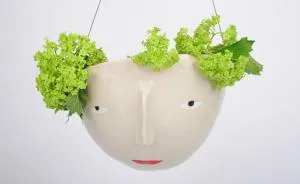 Potheads: My Creations Defy Your Expectation