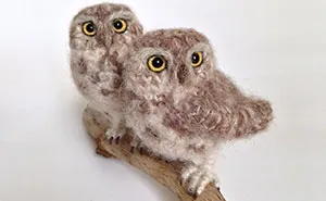 I Make Realistic Crocheted Birds Out Of Wool