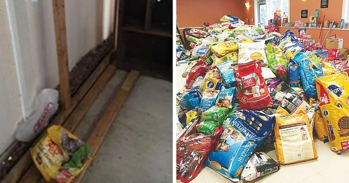 Animal Shelter Gets Robbed, And 14 Hours Later It Looks Like This