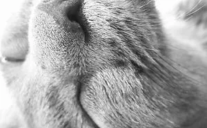Sleepy Weekend...