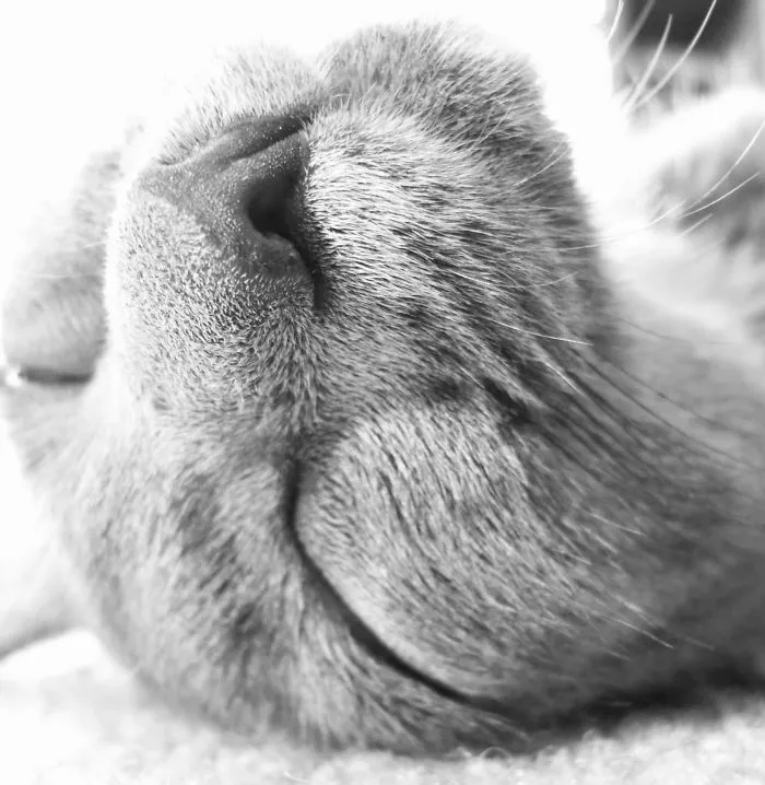 Sleepy Weekend...