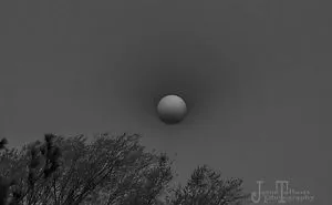 Wildfires Caused This Surreal B&w Of The Sun