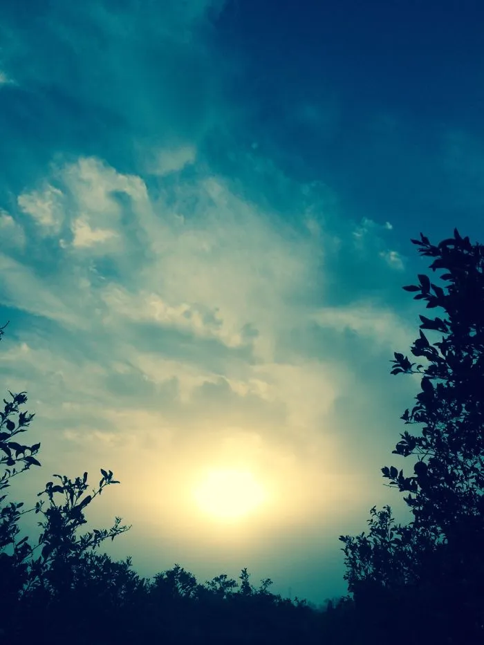 Sunset