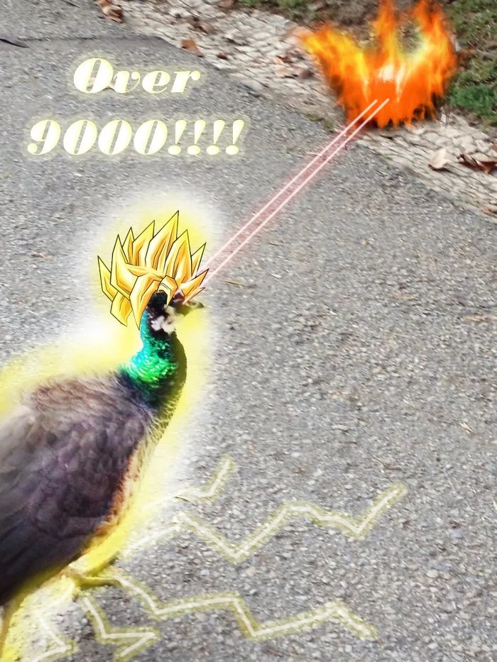 Over 9000